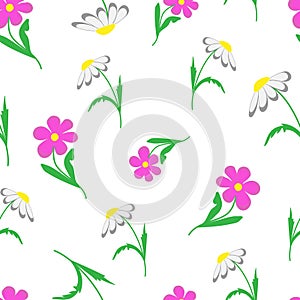 pattern chamomiles and kosmeya flowers