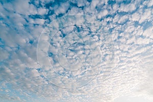 Pattern of cirrocumulus cloud on sunset blue sky