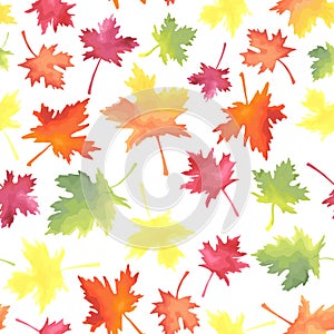 Pattern of colorful maple autumn leaves