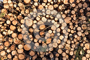 Pulpwood pile pattern