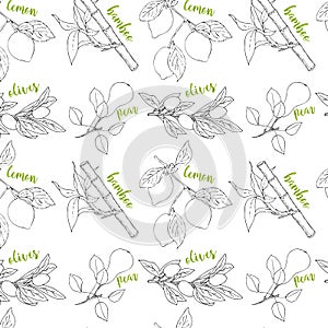 Pattern contour black lemon olives pear bamboo with green inscription, hand-drawing.