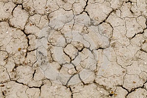 Pattern of cracks in dried mud