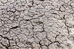 Pattern of cracks in dried mud