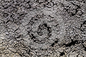 Pattern of cracks in dried mud