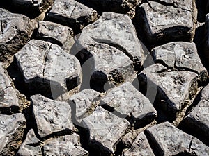 Pattern of cracks in the mud