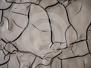 Textured surface of cracks in the mud