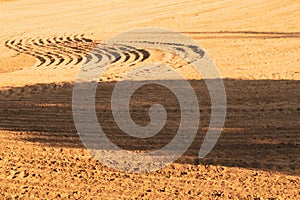 Pattern of curved ridges and furrows on a sandy field. traces on the sand
