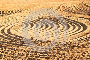 Pattern of curved ridges and furrows on a sandy field. traces on the sand