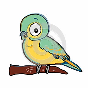 Pattern Cute bird flying illustration drawing color and yellow and speaking drawing illustration white background