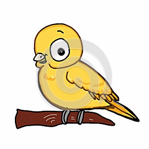 Pattern Cute bird flying illustration drawing color and yellow and speaking drawing illustration white background