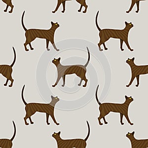 Pattern of cute ginger cat on beige background. vector illustration