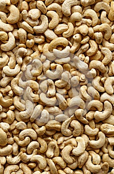 Pattern of delicious raw cashew nuts. Background. Macro food photography
