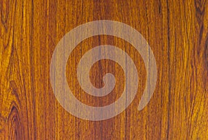 Pattern detail of teak wood texture