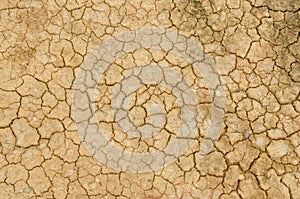 Pattern details of cracked earth skin in dry season