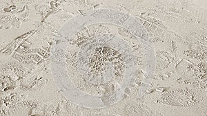 Pattern developed of small crabs holes on beach sand, house of crab