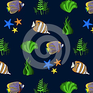 Pattern with different fish and starfish on a blue background