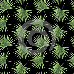 Pattern Digital paper Tropics Flowers Leaves of Monstera Palm Hibiscus Plumeria Watercolor illustrations Botanical Decorations Des