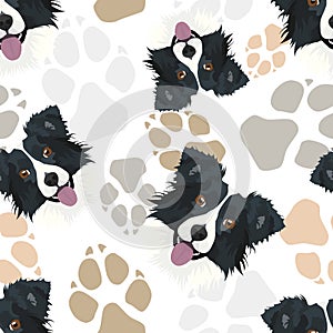 Pattern Dog Paws Border Collie