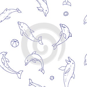 Pattern of dolphin images