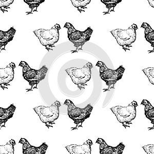 Pattern of the drawn hens