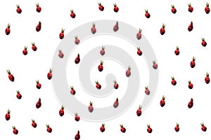 Pattern of dried rosehip berries on a white background. Cut out . Natural Vitamins from Berries