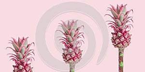 Pattern with Dwarf Ornamental Pineapple red mini flowers. Whole and part from tropical bloom per stem