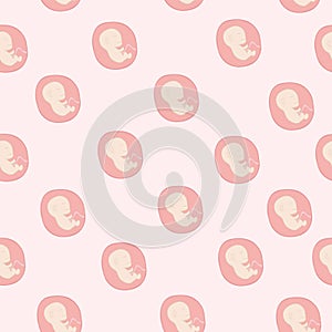 Pattern embryo embryo pregnancy placenta umbilical cord vector illustration