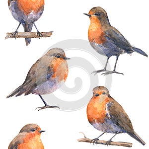 Pattern with european robin bids