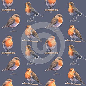 Pattern with european robin bids