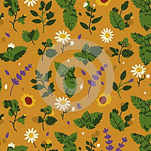 Pattern featuring various stylized botanical elements against a warm orange