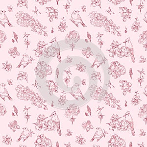 Pattern with floral ornament, toile de jouy. Seamless background. Hand drawn illustration in vintage style photo