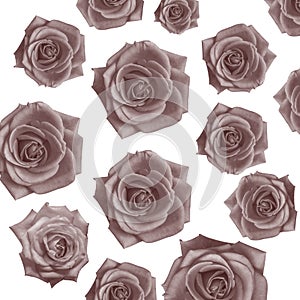 pattern Flower, rose flower print in soft colors made from fabric