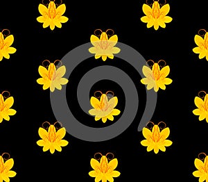 Pattern with flowers on the black blackground