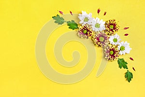 Pattern of flowers red and white asters, green leaves  isolated on yellow background Flat lay Top view Mock up