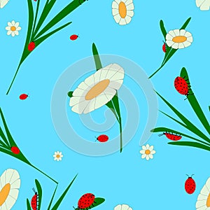 pattern in the form of a picture for children from chamomile flowers and ladybugs