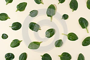 Pattern of fresh baby spinach leaves on yellow background, vegetarian food