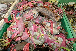 Pattern of fresh crabs selling on a seafood counter in Jimbaran. Pasar Ikan Kedonganan - Bali beach. Fresh crabs on the local fish