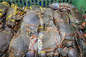 Pattern of fresh crabs selling on a seafood counter in Jimbaran. Pasar Ikan Kedonganan - Bali beach. Fresh crabs on the local fish