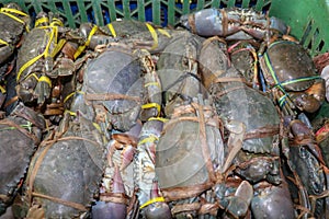 Pattern of fresh crabs selling on a seafood counter in Jimbaran. Pasar Ikan Kedonganan - Bali beach. Fresh crabs on the local fish