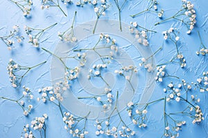 Pattern from fresh white gypsofila flowers onvblue textured background photo