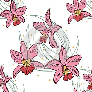 Seamless pattern of pink orchids on a white background