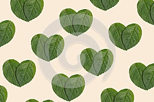 Pattern with green heart shaped leaf. Love nature concept. Theme of ecology, environment