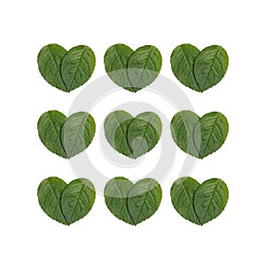 Pattern with green heart shaped leaf. Love nature concept. Theme of ecology, environment