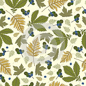 Pattern with green leaves and blueberries photo