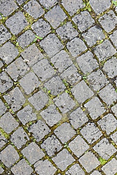 Pattern of grey cobble stones