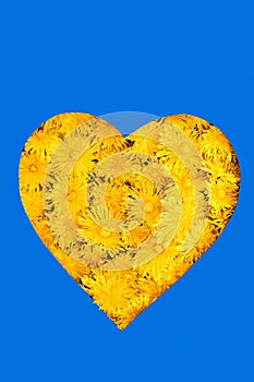 Pattern heart on dandelions