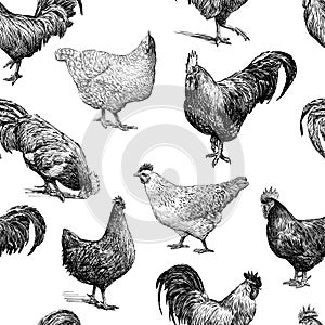 Pattern of the and hens sketches