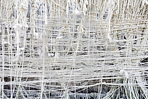 Pattern of holy thread background. Many white tassels made of many tied holy threads for pray and merit of Thai culture and