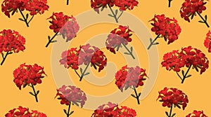 Pattern of inflorescences of red flowers with a yellow background