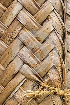 Pattern of interweaving brown palm leaves